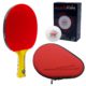 Alpha Dog Paddle BUNDLE with Red Hard Case and 6 Balls | Pre-Assembled Paddles | Pre-Made Paddles | Table Tennis Paddles | Ping Pong Paddles | CounterStrike Table Tennis | Vertical Side Angled